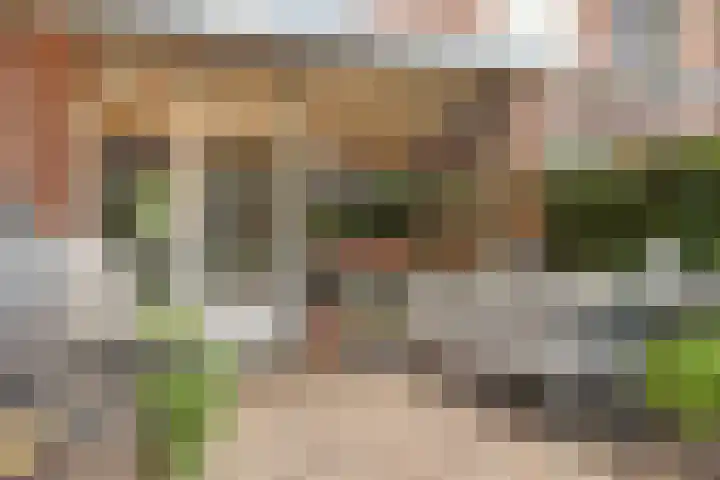De Hil 18 Hendrik-Ido-Ambacht thumbnail 32