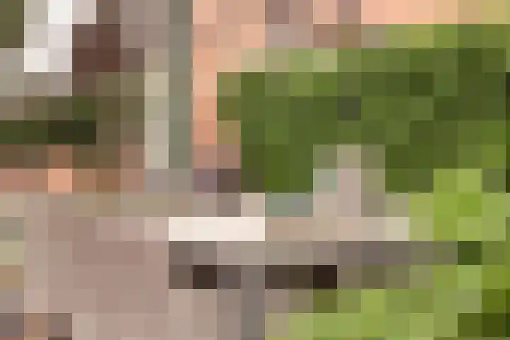 De Hil 18 Hendrik-Ido-Ambacht thumbnail 34