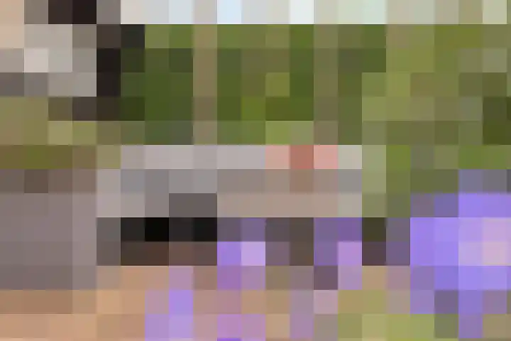 De Hil 18 Hendrik-Ido-Ambacht thumbnail 35