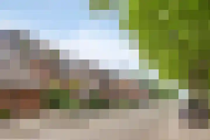 De Hil 18 Hendrik-Ido-Ambacht thumbnail 38