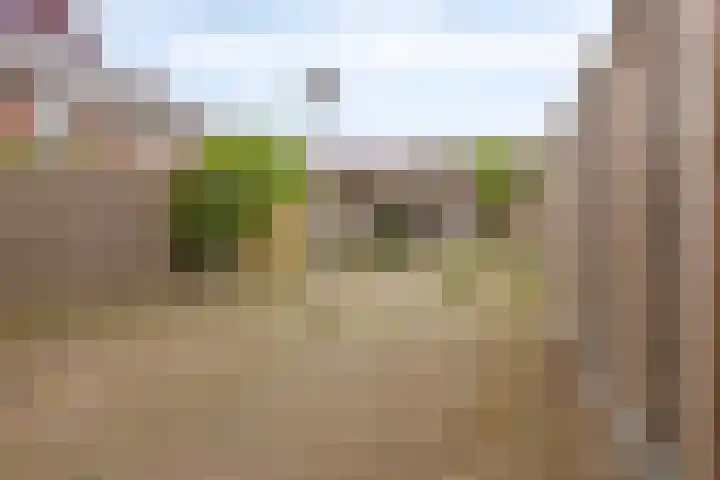 De Hil 18 Hendrik-Ido-Ambacht thumbnail 40