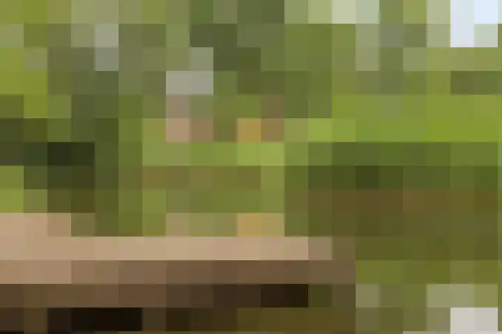 De Hil 18 Hendrik-Ido-Ambacht thumbnail 44