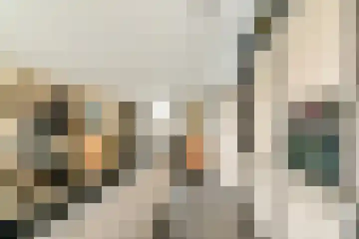 De Hil 2 Hendrik-Ido-Ambacht thumbnail 12