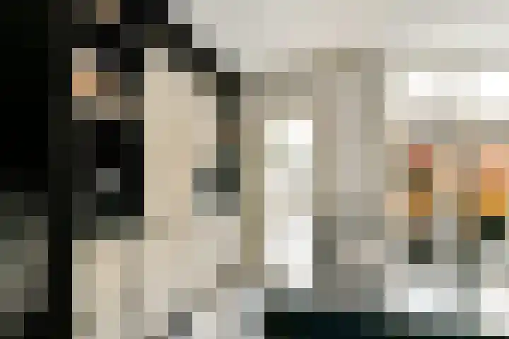 De Hil 2 Hendrik-Ido-Ambacht thumbnail 13