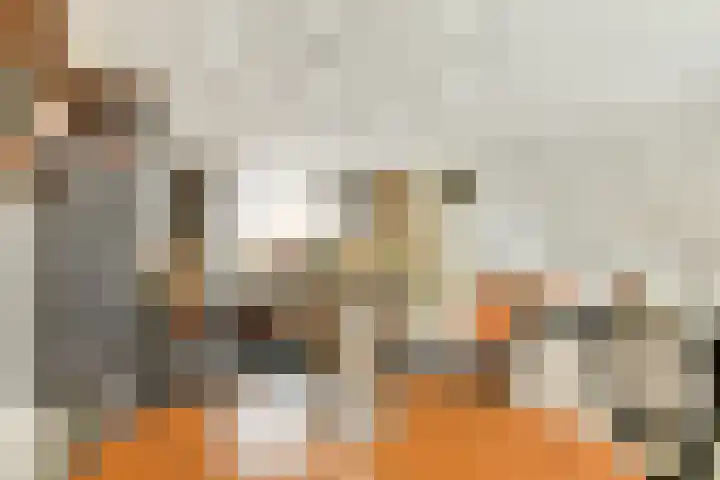 De Hil 2 Hendrik-Ido-Ambacht thumbnail 14