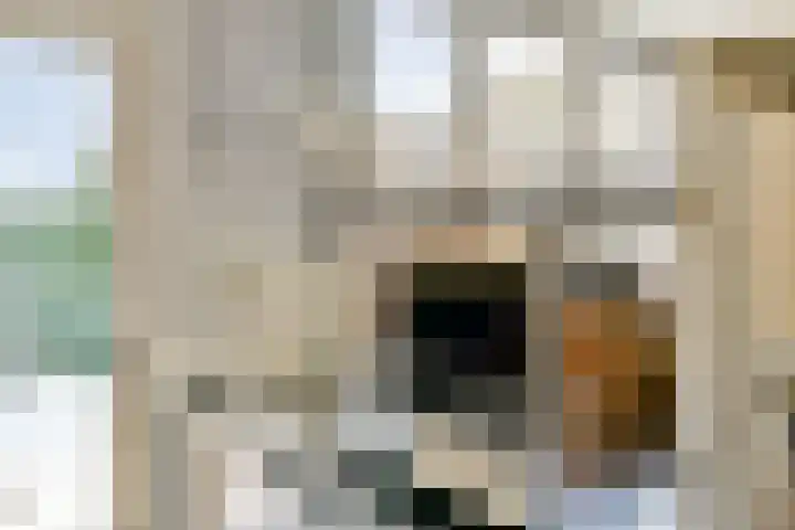 De Hil 2 Hendrik-Ido-Ambacht thumbnail 15
