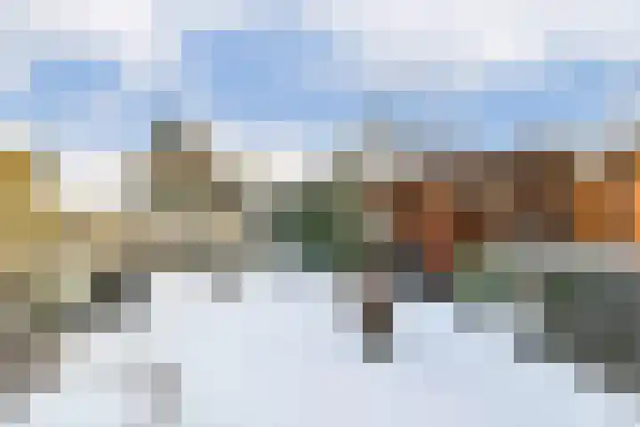 De Hil 2 Hendrik-Ido-Ambacht thumbnail 16