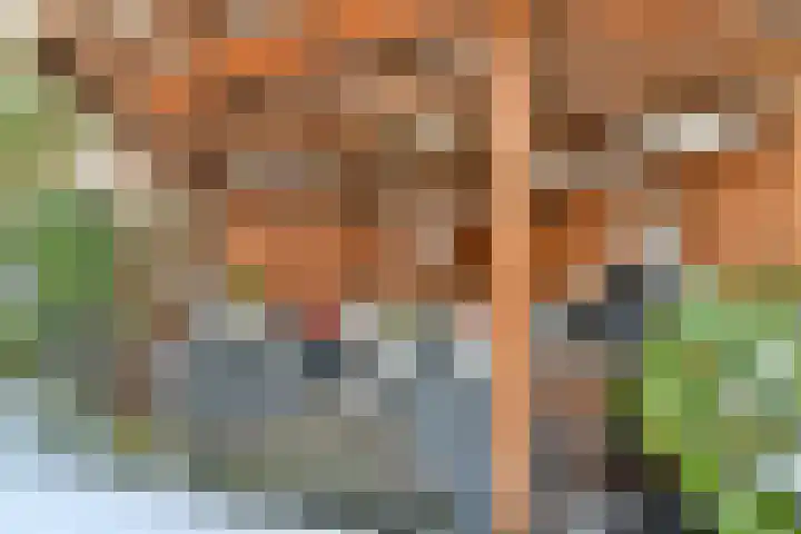 De Hil 2 Hendrik-Ido-Ambacht thumbnail 17