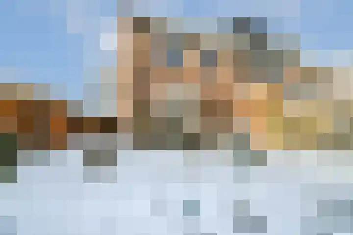 De Hil 2 Hendrik-Ido-Ambacht thumbnail 18