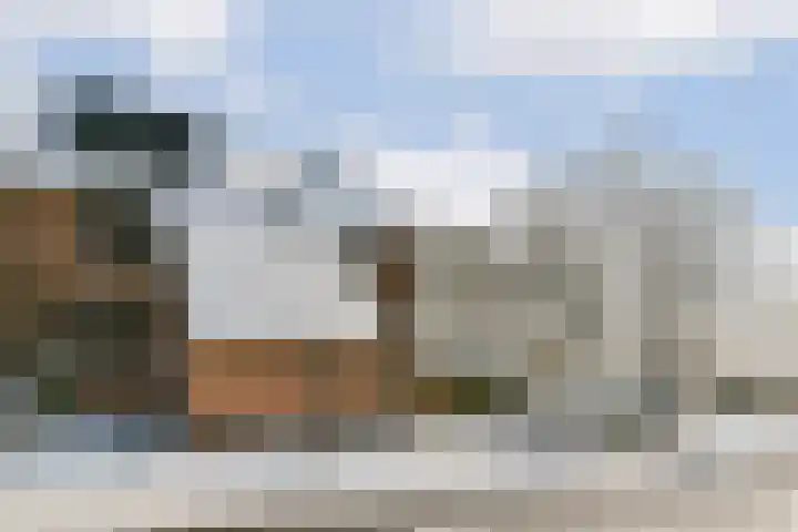 De Hil 2 Hendrik-Ido-Ambacht thumbnail 34