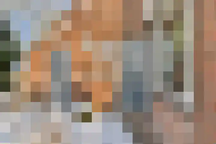 De Hil 2 Hendrik-Ido-Ambacht thumbnail 5
