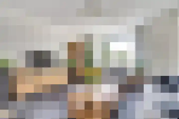De Hil 36 Hendrik-Ido-Ambacht thumbnail 6