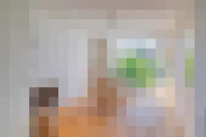 de Hild 31 Kamerik thumbnail 10