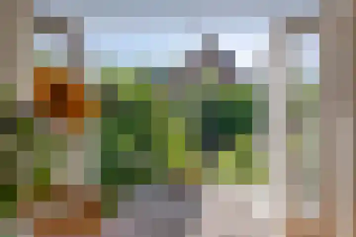 de Hild 31 Kamerik thumbnail 11