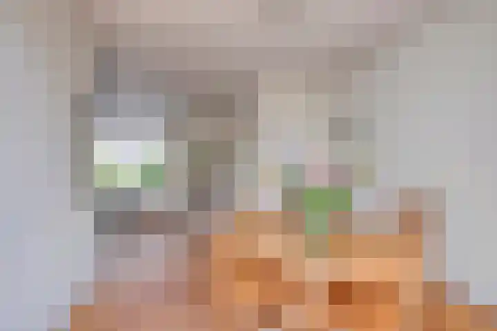 de Hild 31 Kamerik thumbnail 12