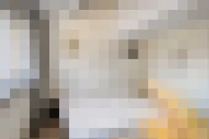 de Hild 31 Kamerik thumbnail 20