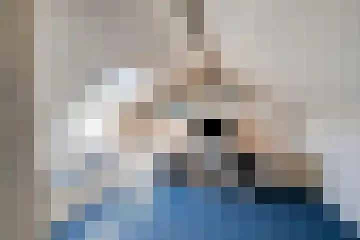 de Hild 31 Kamerik thumbnail 29