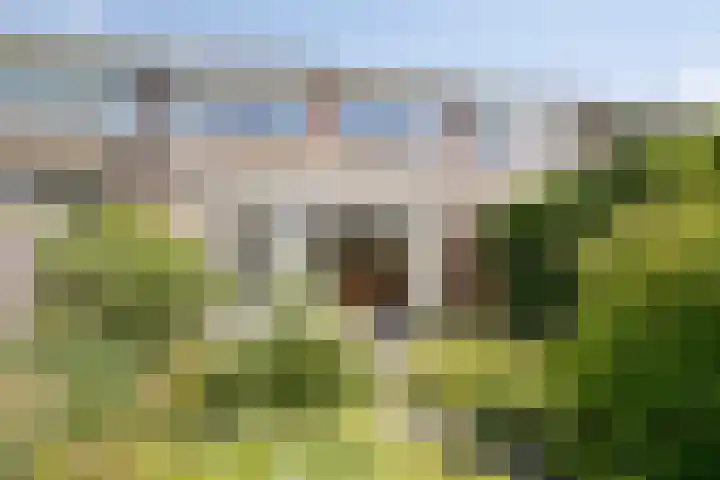 de Hild 31 Kamerik thumbnail 32