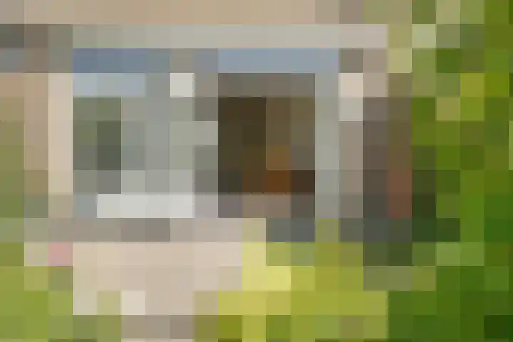 de Hild 31 Kamerik thumbnail 33