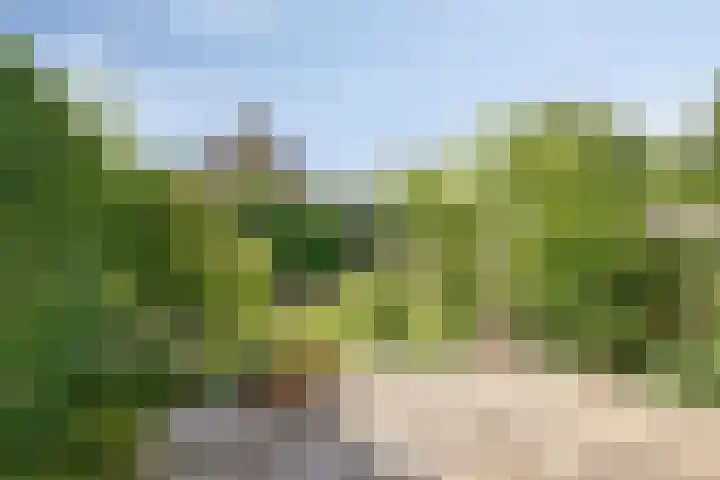 de Hild 31 Kamerik thumbnail 34