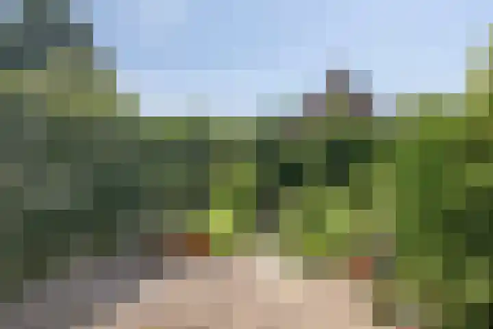 de Hild 31 Kamerik thumbnail 35
