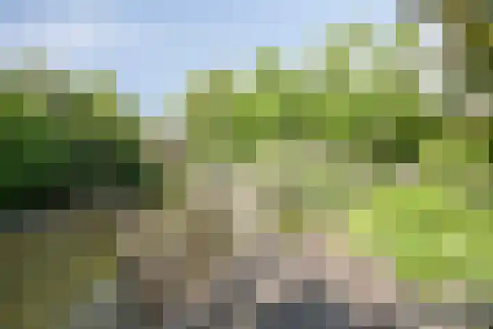 de Hild 31 Kamerik thumbnail 37