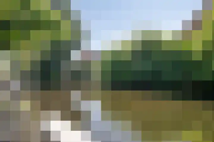 de Hild 31 Kamerik thumbnail 38