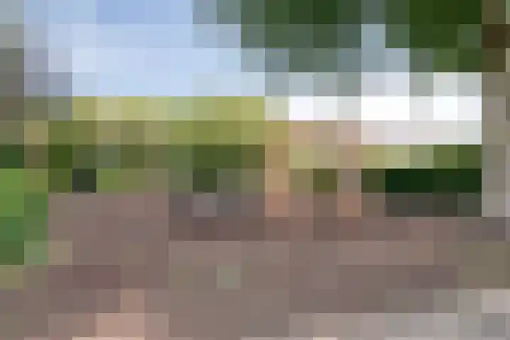 de Hild 31 Kamerik thumbnail 41