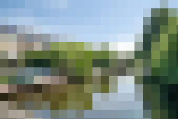de Hild 31 Kamerik thumbnail 42