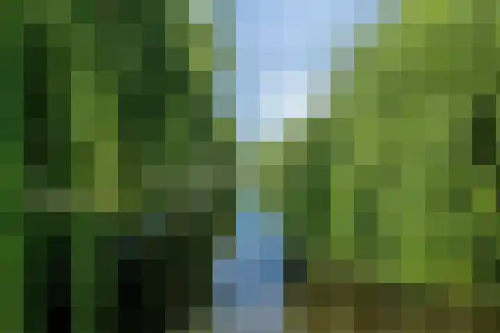 de Hild 31 Kamerik thumbnail 43