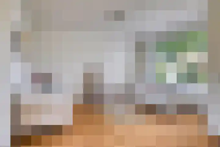 de Hild 31 Kamerik thumbnail 7
