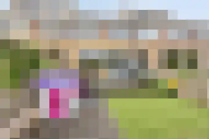 de Hild 44 Kamerik thumbnail 24