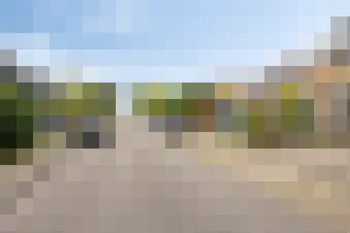 de Hild 44 Kamerik thumbnail 31