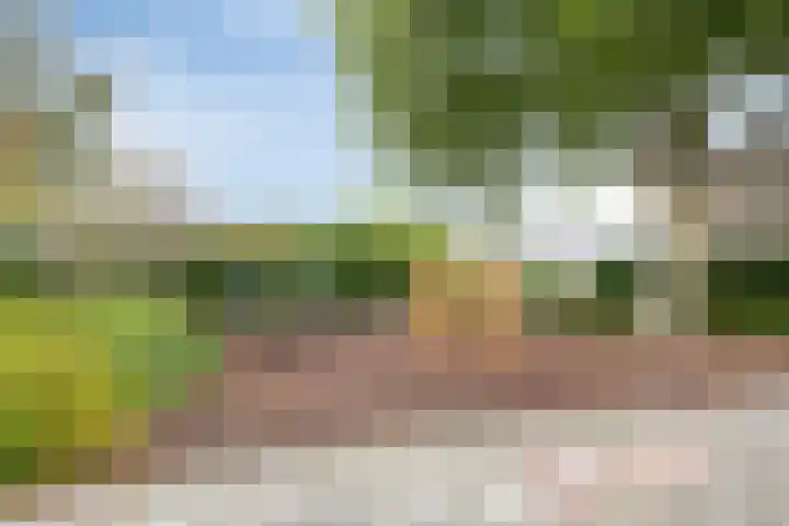 de Hild 44 Kamerik thumbnail 32