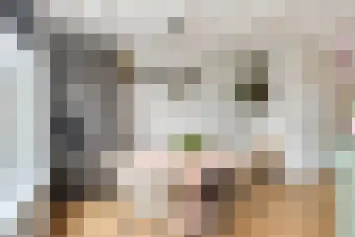 de Hild 44 Kamerik thumbnail 8