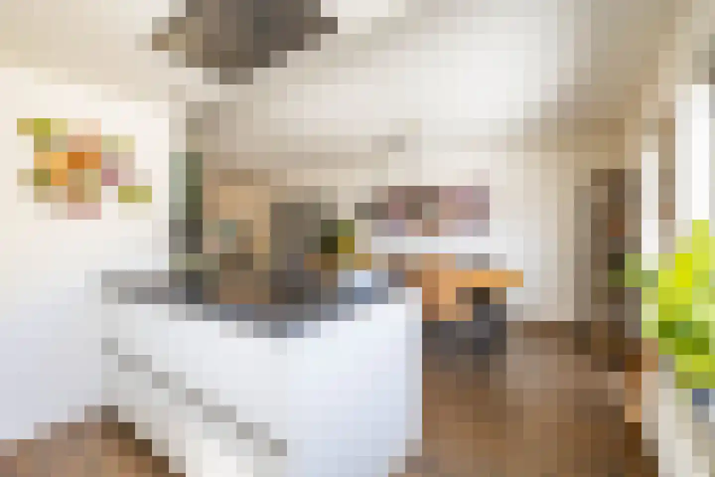 de Hilde 17 Zuidlaren thumbnail 20