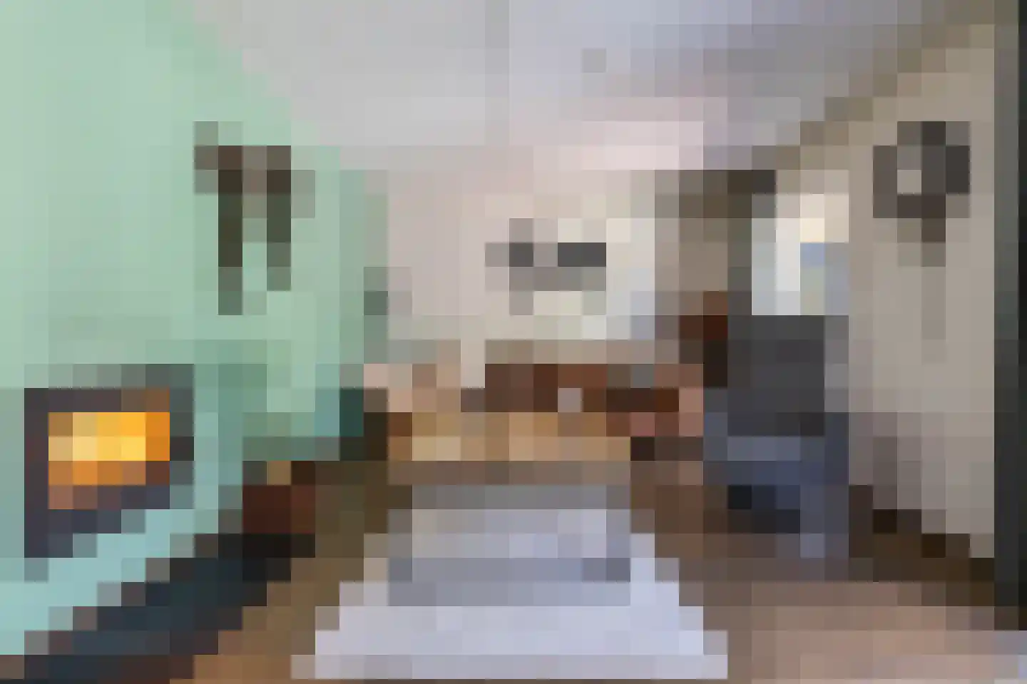 de Hilde 17 Zuidlaren thumbnail 24