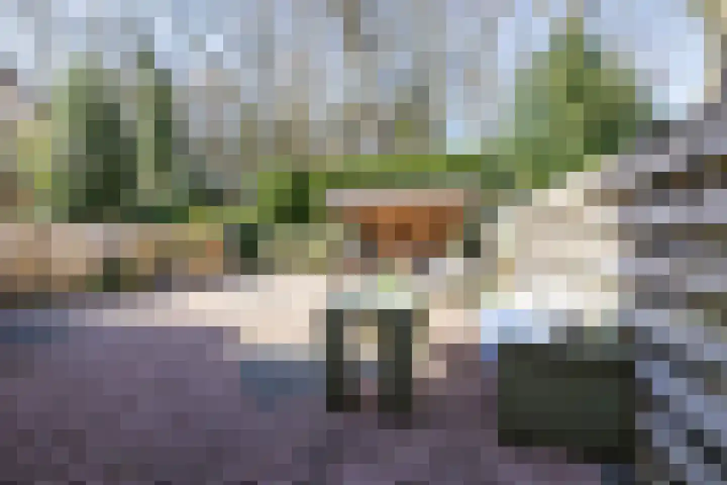 de Hilde 17 Zuidlaren thumbnail 29