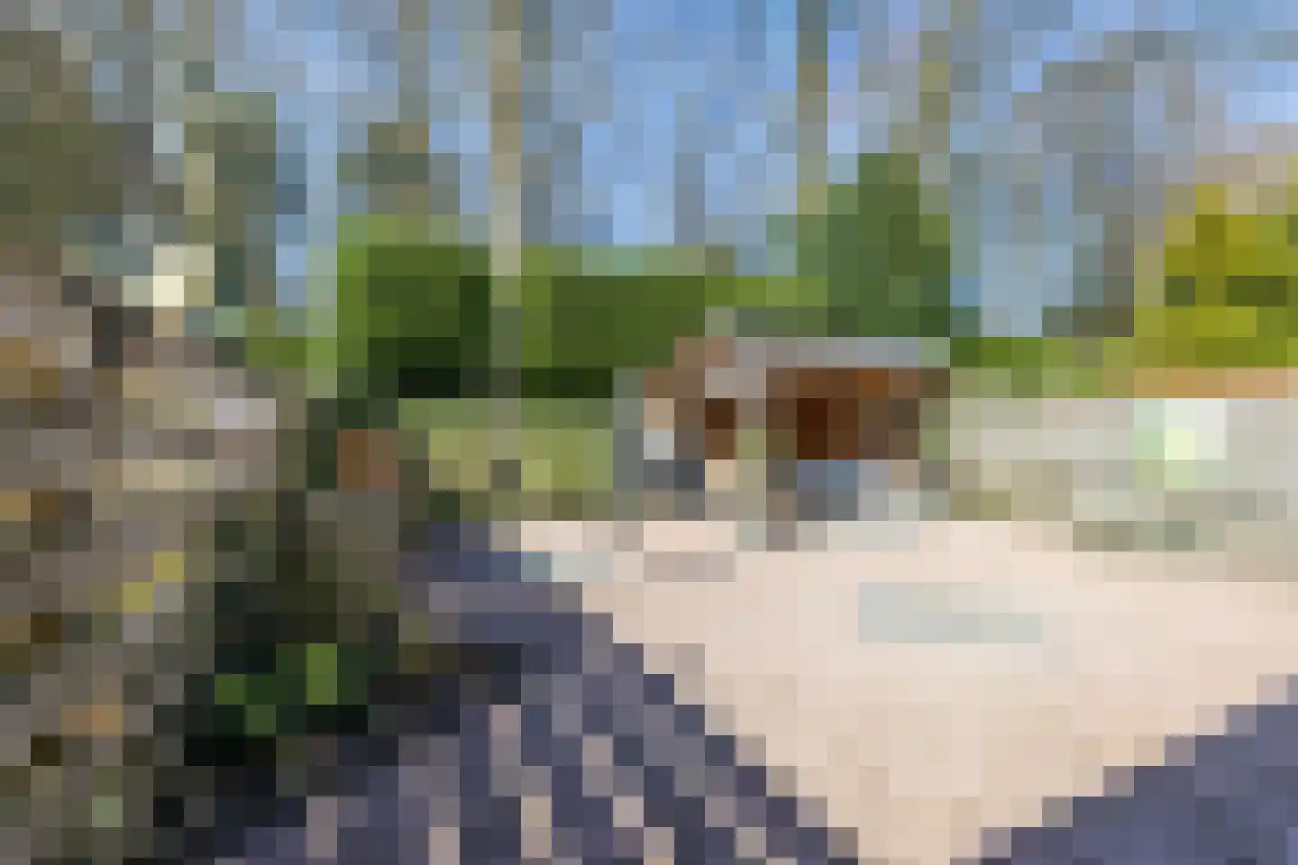 de Hilde 17 Zuidlaren thumbnail 30