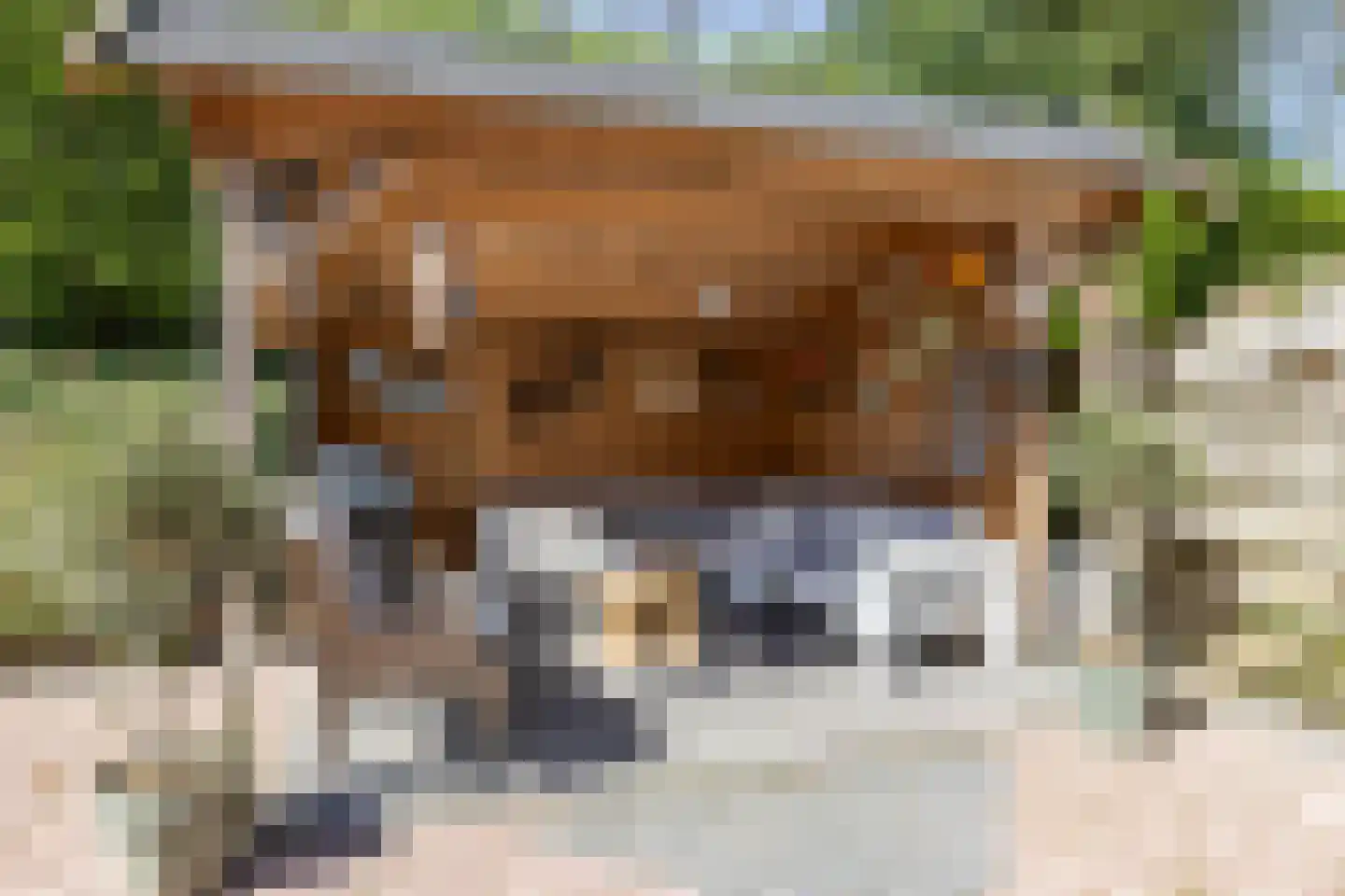 de Hilde 17 Zuidlaren thumbnail 31