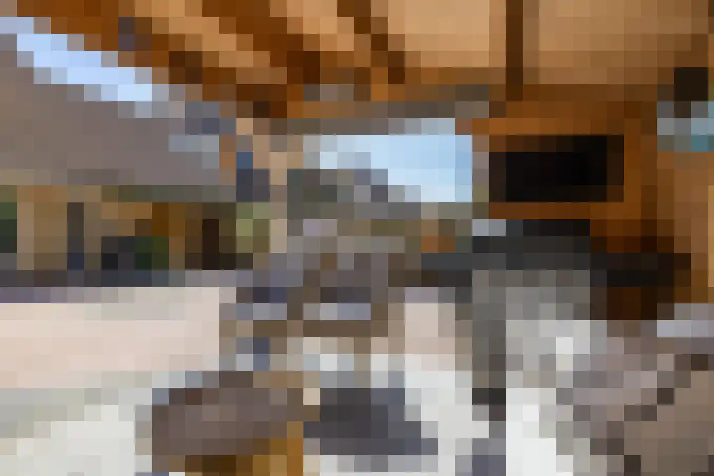 de Hilde 17 Zuidlaren thumbnail 32