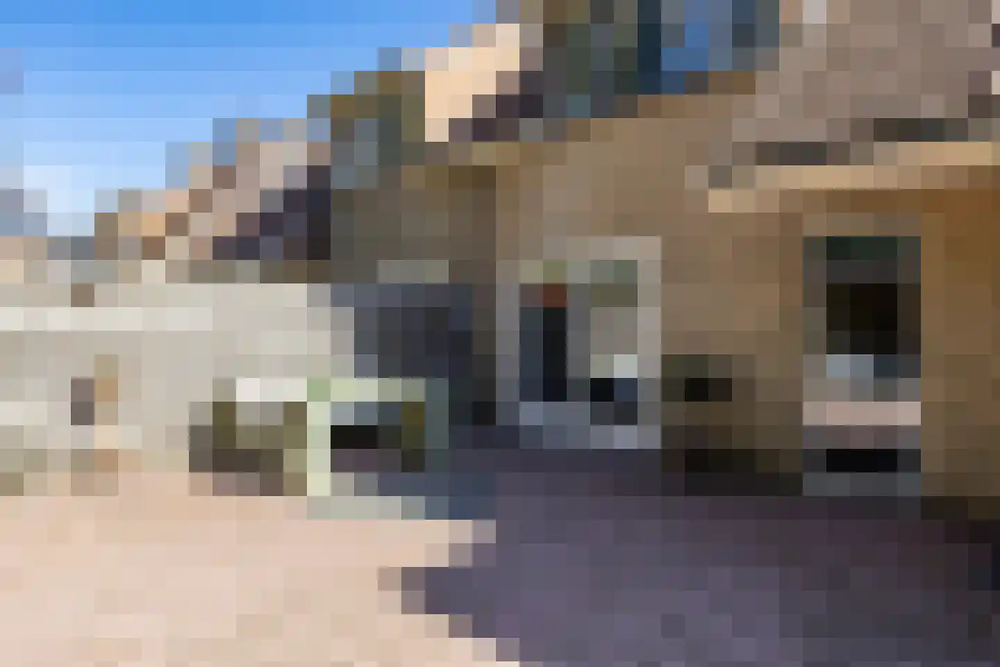de Hilde 17 Zuidlaren thumbnail 35