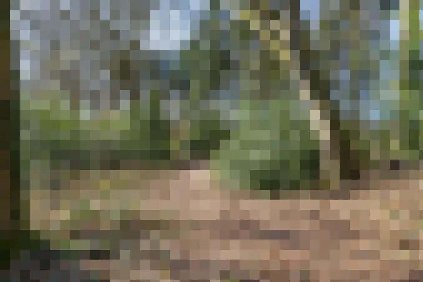 de Hilde 17 Zuidlaren thumbnail 36