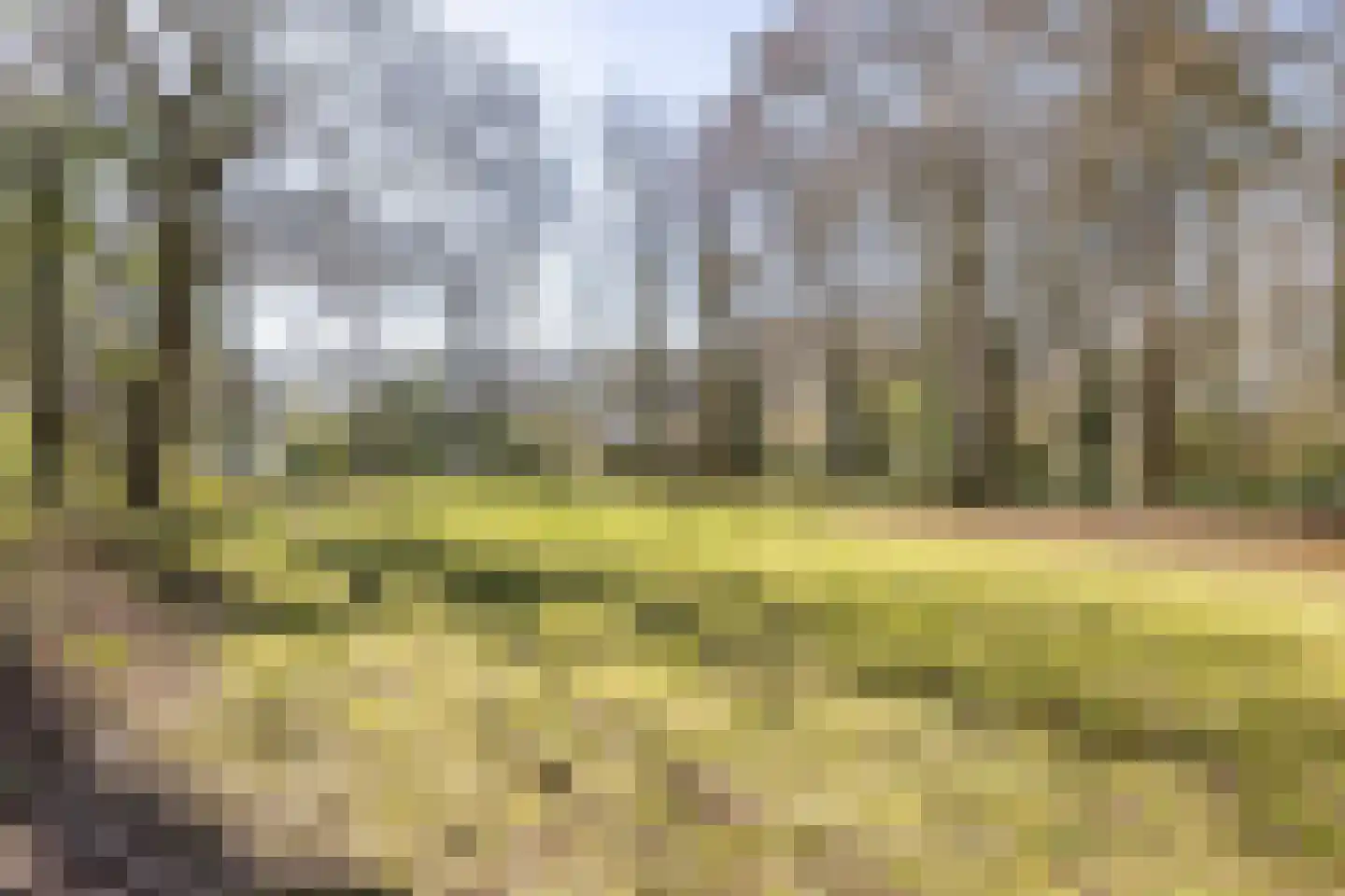 de Hilde 17 Zuidlaren thumbnail 37
