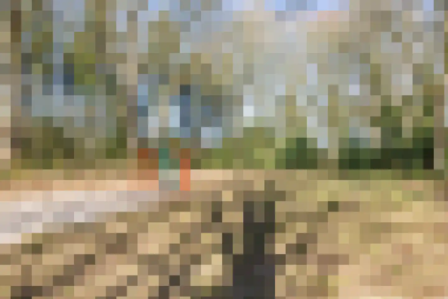 de Hilde 17 Zuidlaren thumbnail 38
