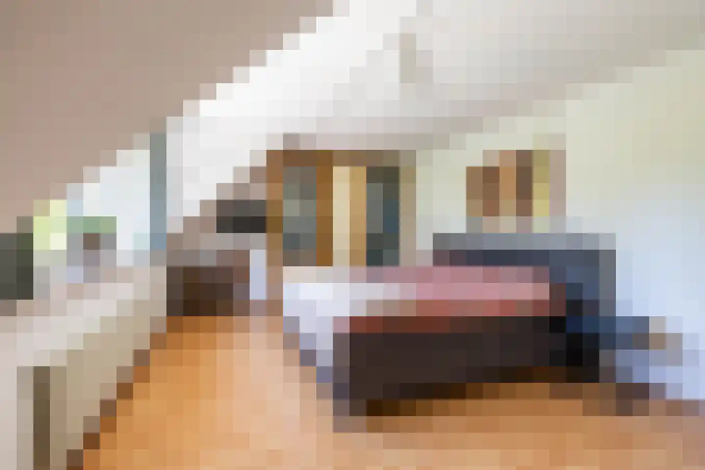 de Hilde 17 Zuidlaren thumbnail 47