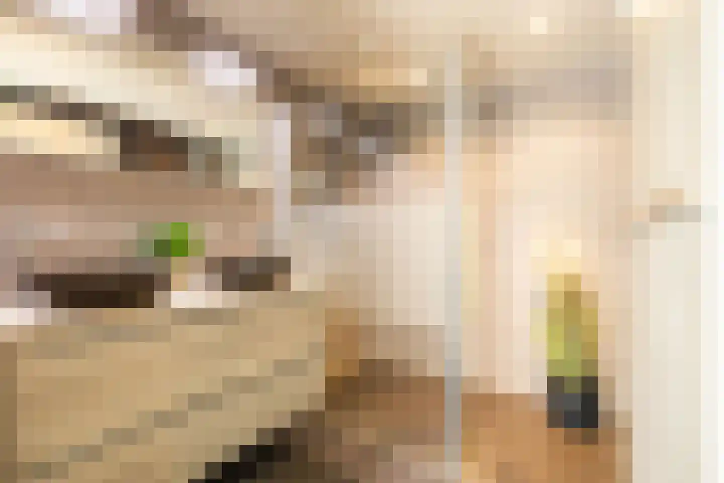 de Hilde 17 Zuidlaren thumbnail 5