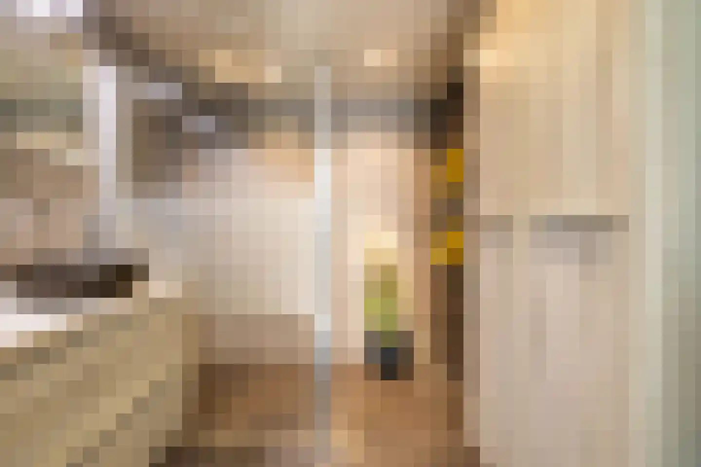 de Hilde 17 Zuidlaren thumbnail 51