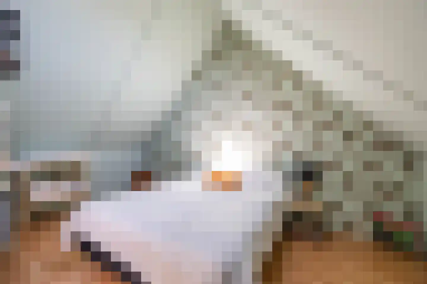 de Hilde 17 Zuidlaren thumbnail 55