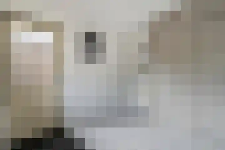 De Hilde 20 Nijeveen thumbnail 13